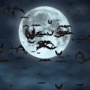 Slim Chickens Happy Halloween Graphic With Bats Flying